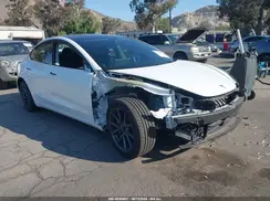 5YJ3E1EA4PF706504 2023 TESLA MODEL 3