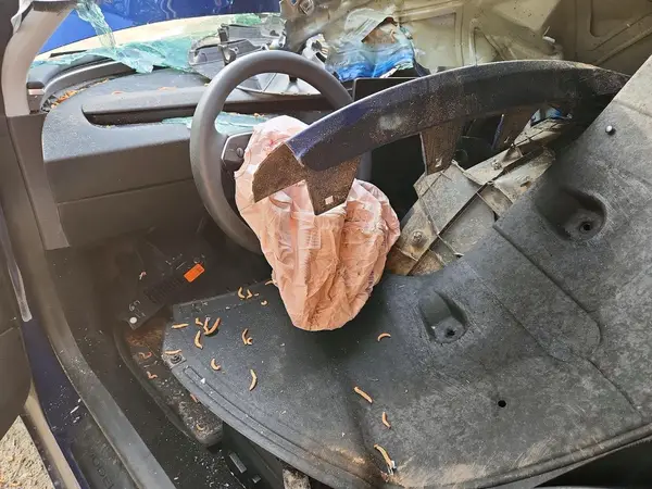 5YJ3E1EA4SF041886 2025 TESLA MODEL 3 - Image 8