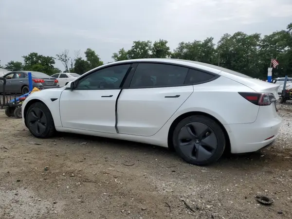 5YJ3E1EA5LF504197 2020 TESLA MODEL 3 - Image 2