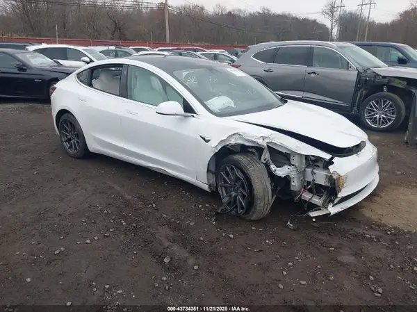 5YJ3E1EA5LF615610 2020 TESLA MODEL 3 - Image 1