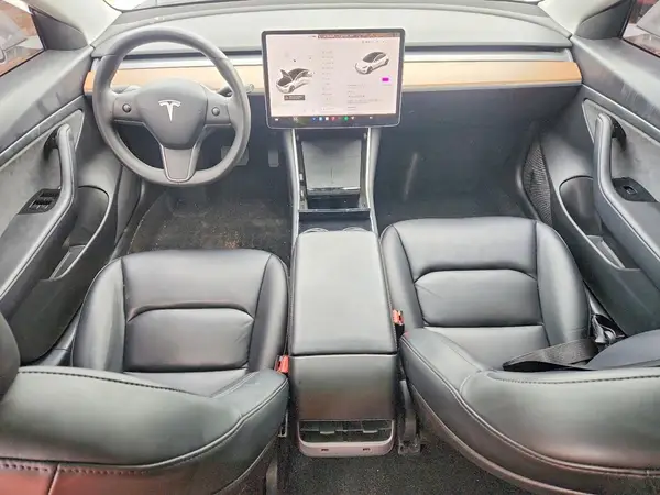 5YJ3E1EA5LF707199 2020 TESLA MODEL 3 - Image 8