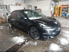 5YJ3E1EA5MF976627 2021 TESLA MODEL 3