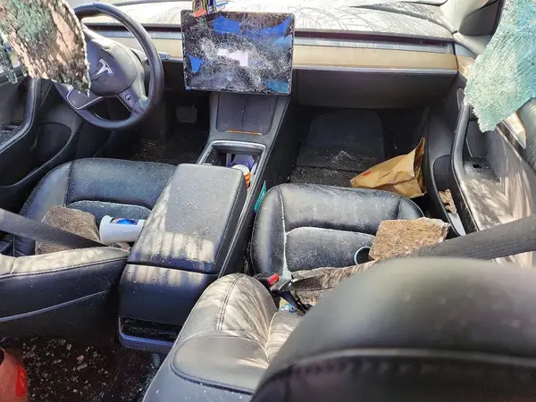 5YJ3E1EA5MF987062 2021 TESLA MODEL 3 - Image 8
