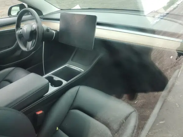 5YJ3E1EA5NF352604 2022 TESLA MODEL 3 - Image 8