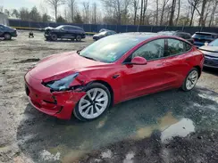 5YJ3E1EA5PF449773 2023 TESLA MODEL 3