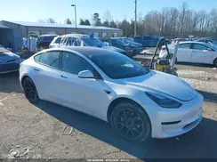 5YJ3E1EA5PF544446 2023 TESLA MODEL 3