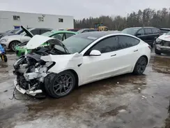 5YJ3E1EA5PF560324 2023 TESLA MODEL 3