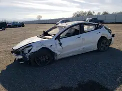 5YJ3E1EA5PF608307 2023 TESLA MODEL 3