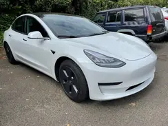 5YJ3E1EA6LF804430 2020 TESLA MODEL 3