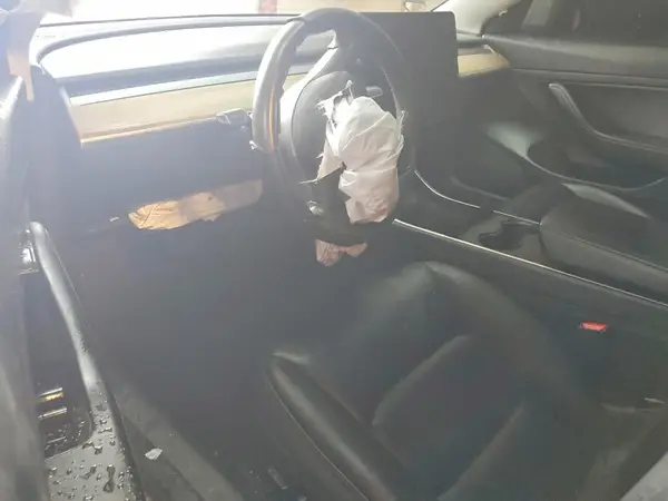 5YJ3E1EA6LF808011 2020 TESLA MODEL 3 - Image 8