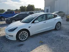 5YJ3E1EA6PF398493 2023 TESLA MODEL 3