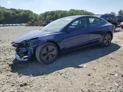 5YJ3E1EA6PF402560 2023 TESLA MODEL 3