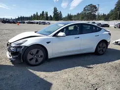 5YJ3E1EA6PF405233 2023 TESLA MODEL 3