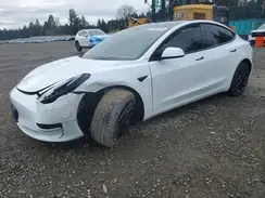 5YJ3E1EA6PF449099 2023 TESLA MODEL 3