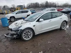 5YJ3E1EA6PF449703 2023 TESLA MODEL 3