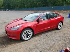 5YJ3E1EA6PF449877 2023 TESLA MODEL 3