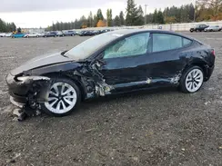 5YJ3E1EA6PF486363 2023 TESLA MODEL 3