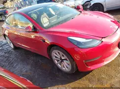 5YJ3E1EA6PF494981 2023 TESLA MODEL 3