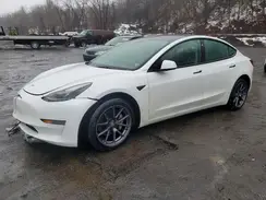 5YJ3E1EA6PF518616 2023 TESLA MODEL 3