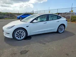 5YJ3E1EA6PF519586 2023 TESLA MODEL 3