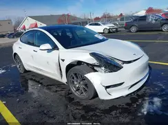 5YJ3E1EA6PF548599 2023 TESLA MODEL 3