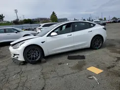 5YJ3E1EA6PF563278 2023 TESLA MODEL 3