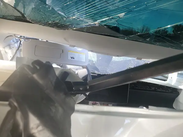 5YJ3E1EA6PF574121 2023 TESLA MODEL 3 - Image 8