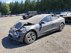 5YJ3E1EA6PF710599 2023 TESLA MODEL 3