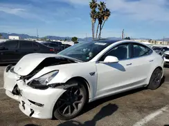 5YJ3E1EA7KF300175 2019 TESLA MODEL 3