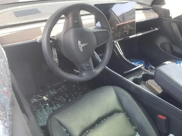 5YJ3E1EA7LF631145 2020 TESLA MODEL 3 - Image 8