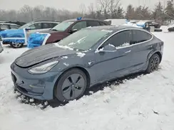 5YJ3E1EA7LF783491 2020 TESLA MODEL 3