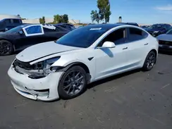 5YJ3E1EA7LF804517 2020 TESLA MODEL 3