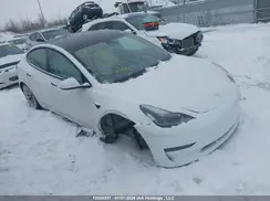 5YJ3E1EA7MF019299 2021 TESLA MODEL 3