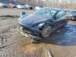 5YJ3E1EA7MF920883 2021 TESLA MODEL 3