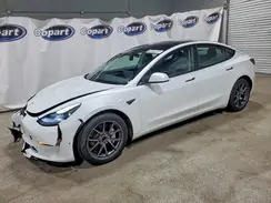 5YJ3E1EA7PF437219 2023 TESLA MODEL 3