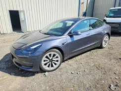 5YJ3E1EA7PF438354 2023 TESLA MODEL 3