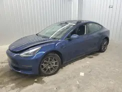 5YJ3E1EA7PF453582 2023 TESLA MODEL 3