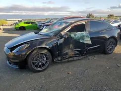 5YJ3E1EA7PF502313 2023 TESLA MODEL 3