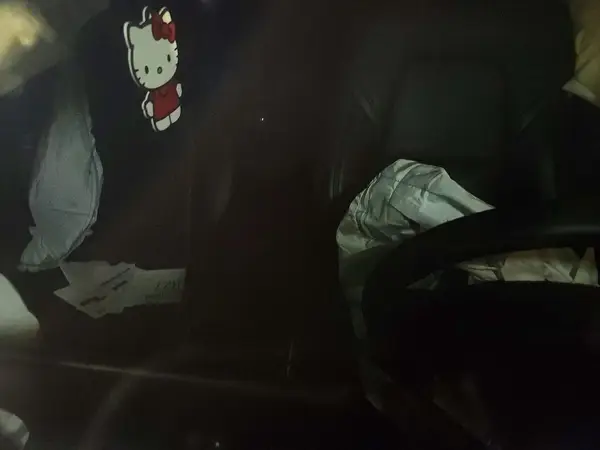 5YJ3E1EA7PF544044 2023 TESLA MODEL 3 - Image 8