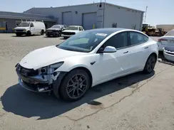 5YJ3E1EA7PF549504 2023 TESLA MODEL 3