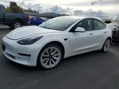 5YJ3E1EA7PF562513 2023 TESLA MODEL 3