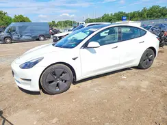 5YJ3E1EA7PF566075 2023 TESLA MODEL 3