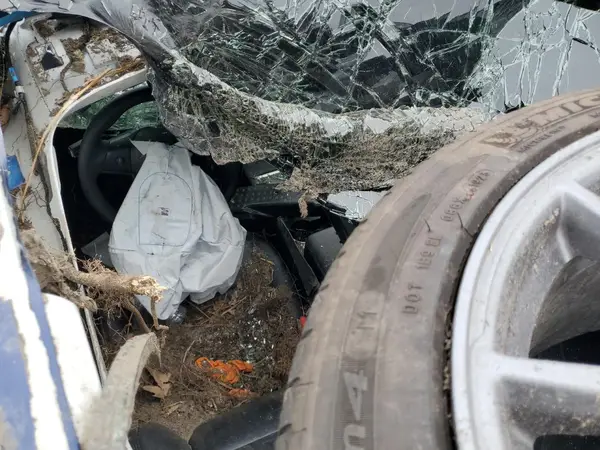 5YJ3E1EA7PF599027 2023 TESLA MODEL 3 - Image 8