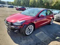 5YJ3E1EA7PF674437 2023 TESLA MODEL 3