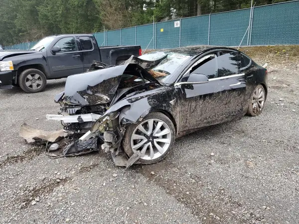 5YJ3E1EA8LF609333 2020 TESLA MODEL 3 - Image 1