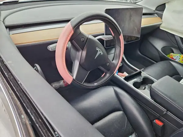5YJ3E1EA8LF612099 2020 TESLA MODEL 3 - Image 8
