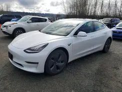 5YJ3E1EA8LF645054 2020 TESLA MODEL 3