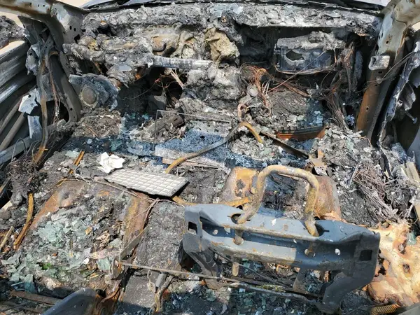 5YJ3E1EA8LF789798 2020 TESLA MODEL 3 - Image 8
