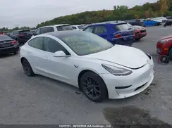 5YJ3E1EA8LF808902 2020 TESLA MODEL 3