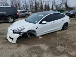 5YJ3E1EA8MF093976 2021 TESLA MODEL 3